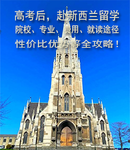高考后，赴新西兰留学